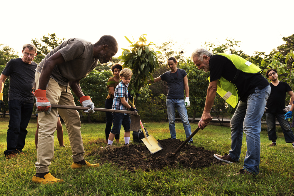 Population Health Management